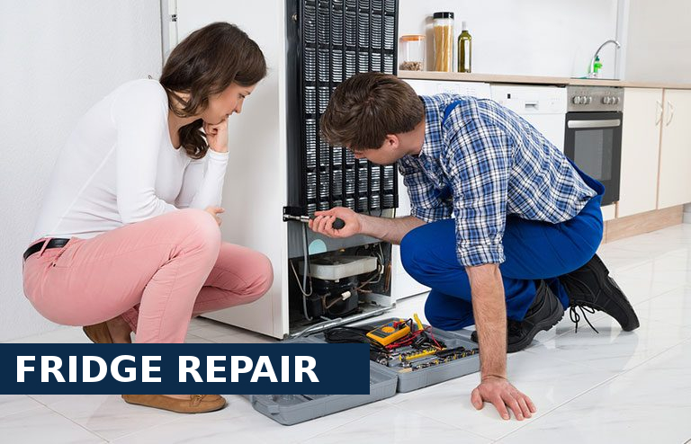 Fridge Repair Weybridge